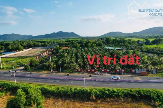 MẶT TIỀN TỈNH LỘ 44B - XÃ PHƯỚC HẢI - TP HCM 👉CÒN LÔ CUỐI SIÊU RẺ 🌈🌈🌈DT 10x53M - 529M2 - 2