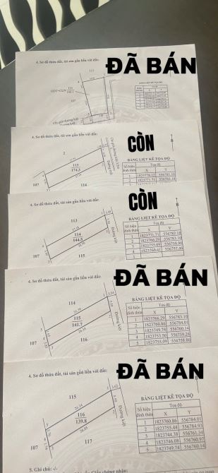TRIỀU SƠN TÂY - CÁCH BẾN XE PHÍA BẮC 3 PHÚT DI CHUYỂN – GIÁ CHỈ 8XX TRIỆU - 2