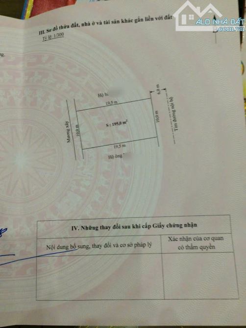 🔥🔥🔥Chỉ hơn 29 tr/m2 đất phân lô 195m2 Biệt thự CC Lương Quán, Nam Sơn, An Dương - 2