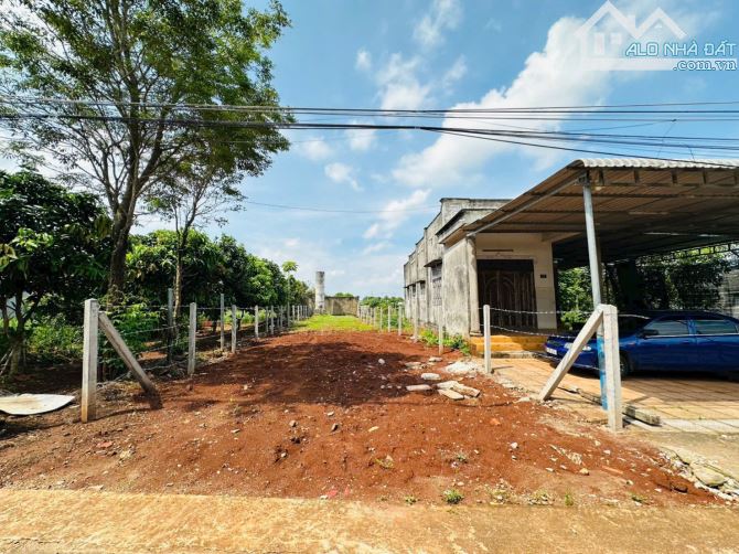 🌈🌈 HƠN 257M2 ĐẤT TRUNG TÂM XÃ ĐẤT ĐỎ - TP.HCM  ✅ DT 257m2 ( 7m x 37m ); sẵn 71 thổ cư 👉 - 2