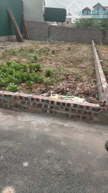 CẦN BÁN 70M ĐẤT TẠI XÃ KIM NỖ HUYỆN ĐÔNG ANH HÀ NỘI ĐƯỜNG THÔNG Ô TÔ ĐỖ CỬA - 2