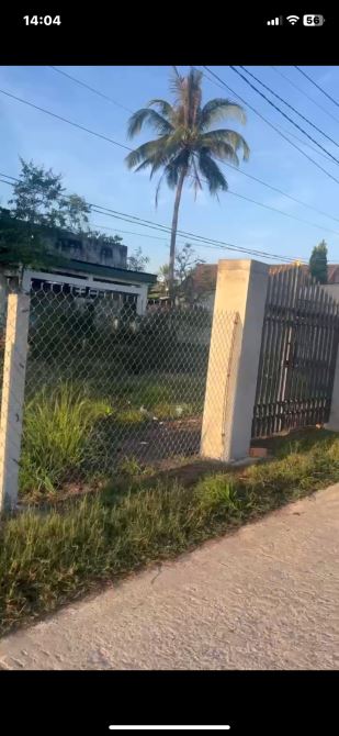 Cho thuê đất ở 300m2 và đất trồng cây 1945m2 đất trồng cây - 2