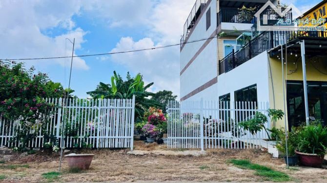 MẶT TIỀN ĐƯỜNG NAM KỲ KHỞI NGHĨA TRUNG TÂM THỊ TRẤN ĐẤT ĐỎ LONG ĐẤT BRVT  Diện Tích : 244m - 2