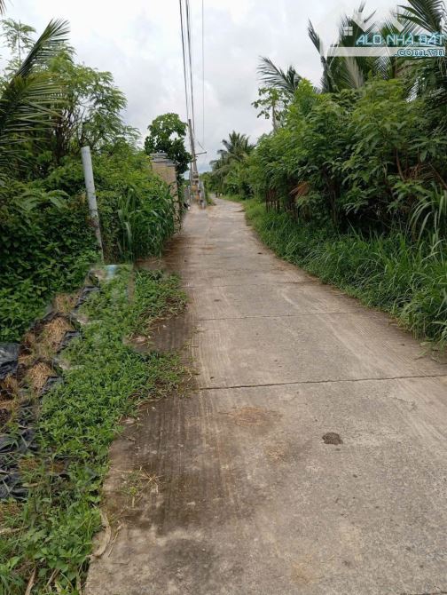 B.á.n (10x50) đất nền đẹp , ôtô kênh Trần Văn Dõng – Chợ Tân Điền, GCĐ, TG cũ - 2