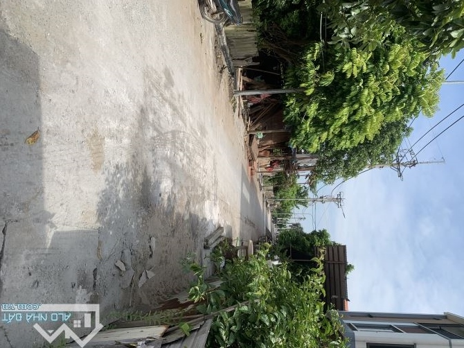 bán đất đẹp dục tú, ô tô thông , sát vòng xuyến đường dẫn cầu tứ liên - 2