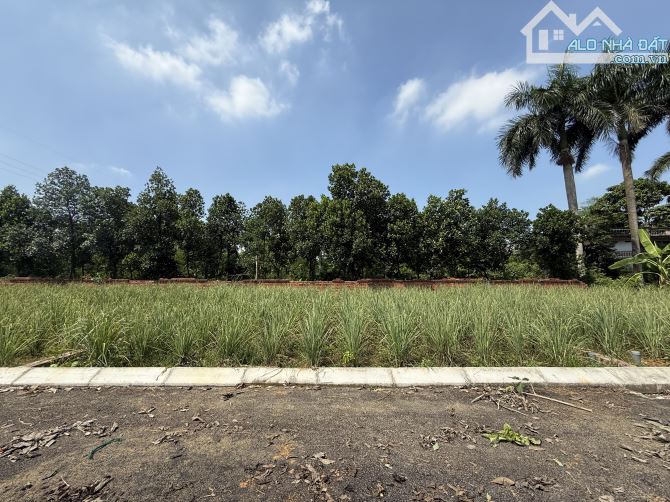 Bán lô đất 100m² full thổ cư tại Phú Cát – vị trí cực đẹp! - 2
