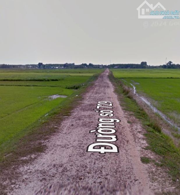 Bán đất vườn đường ôtô xã Trung Lập Thượng Củ Chi TPHCM, DT: 10000m2. - 2