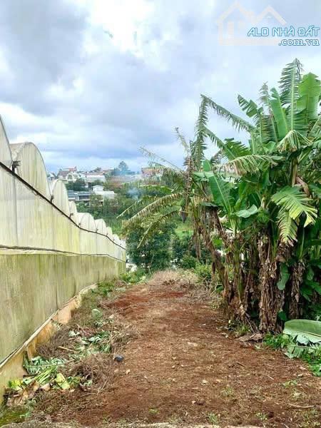 Bán nhanh 1000m2 đất NN chuyển đổi được full xây dựng. Xuân trường -  2.8 tỷ - 2