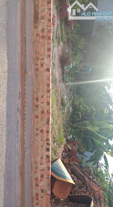 BÁN ĐẤT TRUNG TÂM KIM NỖ 70 M , FULL THỔ CƯ GẦN ĐƯỜNG HOÀNG SA - 2
