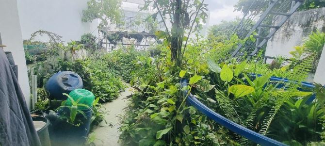 Huỳnh Văn Bánh nhà 4 tầng BTCT nở hậu tài lộc 80,4m2 chỉ 12,5 tỷ - 2