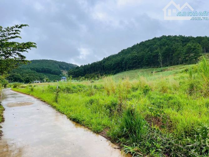 1000m2 ĐẤT NGHỈ DƯỠNG GIÁP RỪNG THÔNG - 2