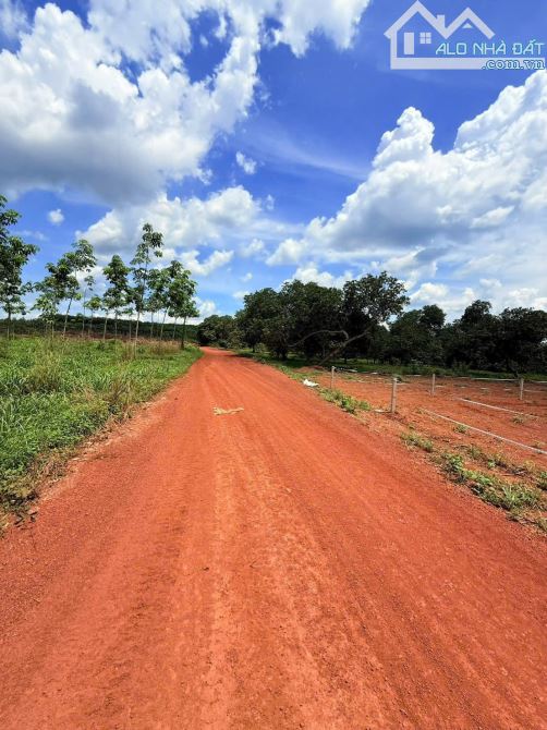 1000m2 Kế Khu Công Nghiệp dang xây dựng rào sẵn, 490 tr còn T.luong - 2