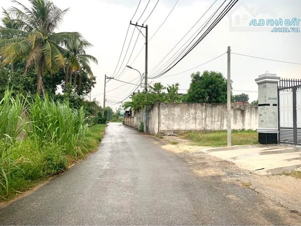 ANH TÀI CẦN THANH LÝ NHANH LÔ ĐẤT NÀY ĐỂ LẠI GIÁ GỐC HỒI VỐN - 2