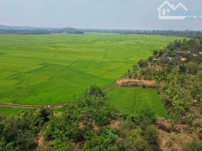 1500m2 Đất thổ cư sát bên quán Hương Đồng Ea Pốk Buôn Mắp - Giá đầu tư - 2