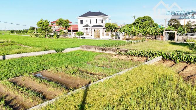 Bán gấp lô đất rộng 273m2. MT 15m tại An Thọ- Thanh Tân -KX . Giá chỉ nhỉnh 1 tỷ - 2