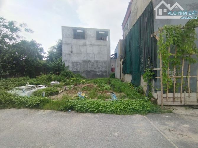 Chính chủ gửi bán lô đất tại Trà Khê Anh Dũng Hải Phòng - 2