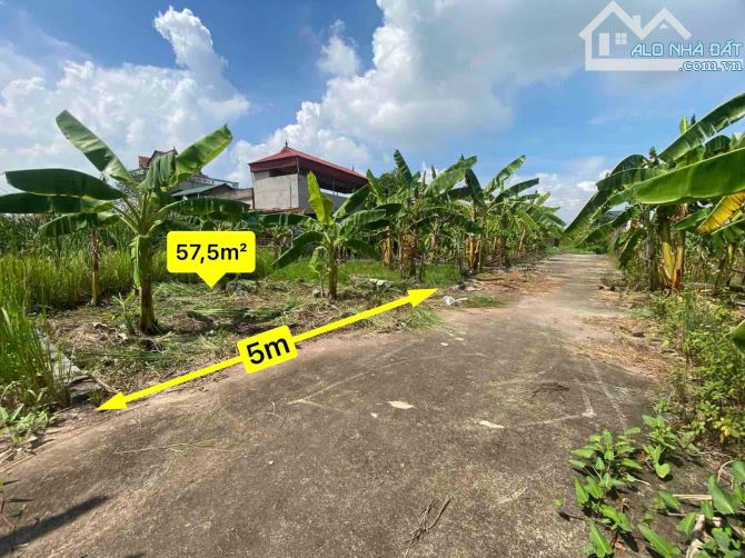 🚀 SIÊU RẺ ĐẤT CHƯƠNG DƯƠNG - THƯỜNG TÍN -HÀ NỘI  🎄 Diện tích: 57,7m 👉 Mặt tiền 5m nở hậ - 2