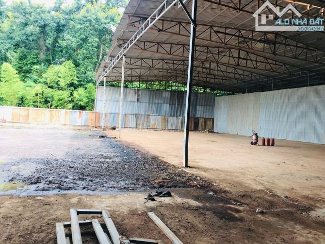 💥CHO THUÊ KHO 3000m2 GẦN QL27 TP BMT - 2