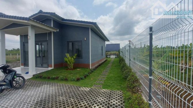 Nhà vườn 1000m2 Thủ Thừa mới xây kiên cố đường xe tải - 2