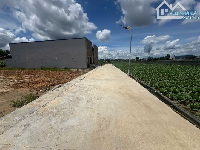 Bán đất hẻm thống nhất phú hội dt 5x27m tc72m2 giá 1,05ty - 2