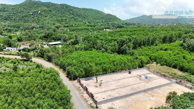 BÁN ĐẤT XÃ PHƯỚC HẢI - TP HỒ CHÍ MINH; VIEW NÚI MINH ĐẠM - CÁCH BIỂN 4KM  🌈🌈🌈DT 1145m2 - 3