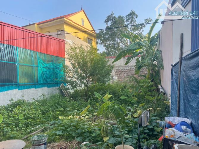 ❌❌Mở bán lô đất trung tâm Đồ Sơn, Hải Phòng 86m cách biển 1 đoạn - 3