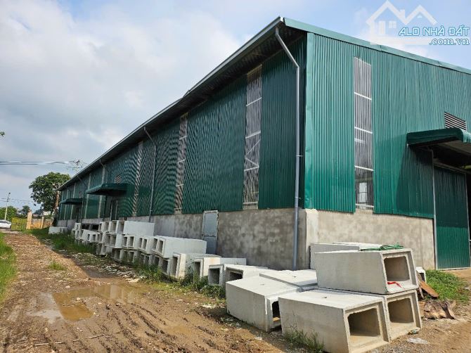 CHO THUÊ KHO XƯỞNG TẠI ĐÔNG ANH, HÀ NỘI - 3