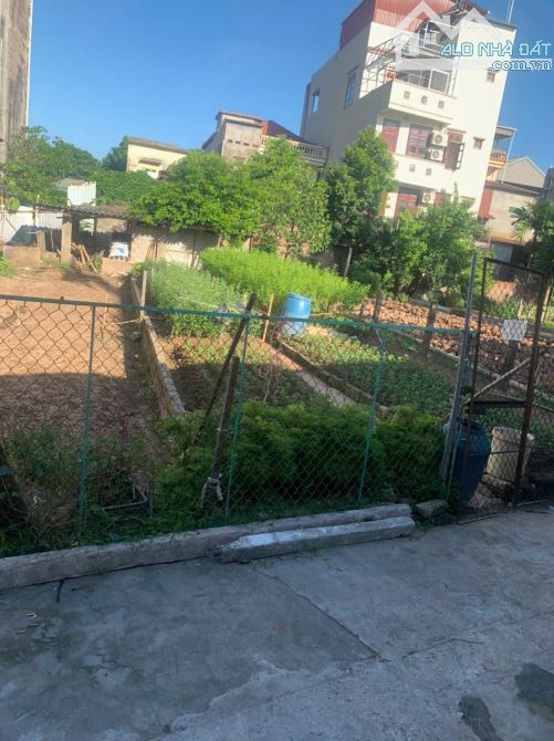 Bán lô đất đẹp ngõ ô tô vào được Lê Cảnh Tuân Hải Dương - 3
