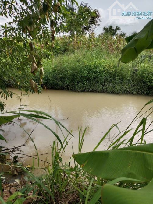 76.000 m2 View Suối ôm 1/2 đất cách 720   600m,  cách nút giao cao tốc 950m - 3