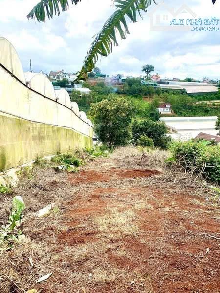 Bán nhanh 1000m2 đất NN chuyển đổi được full xây dựng. Xuân trường -  2.8 tỷ - 3