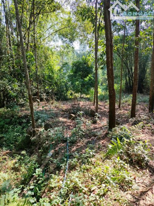 🌿 BÁN LÔ ĐẤT VIEW ĐẸP – GIÁ TỐT TẠI KIM BÔI – HÒA BÌNH 🌿 - 3