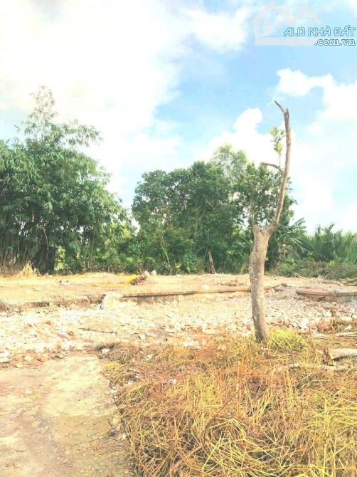 Quá Ngộp, 819m2 đất thổ cư  toàn bộ KDC Lạc Tấn chốt 1 tỷ - 3