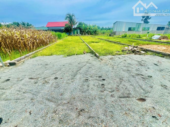 💥Cần bán 2 lô Đất Dân – Giá rẻ – gần Hương Lộ 39 Ngã tư Diên Phước💥 - 3