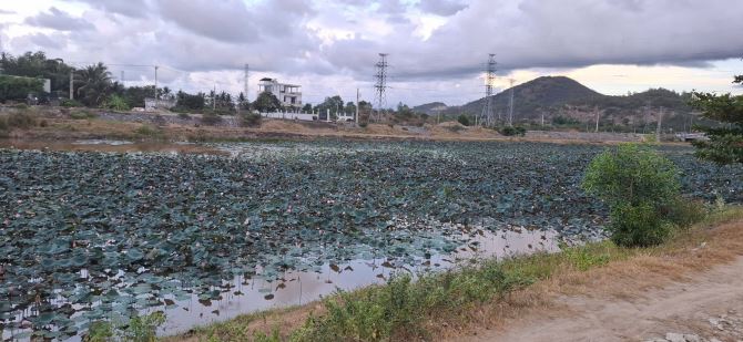 Siêu Phẩm mặt tiền Đường Bờ Kè 20 mét - View Sông Quán Trường - Nha Trang - 3