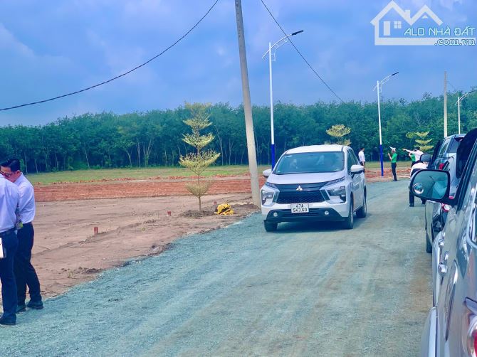 Bán cặp đất 5x48m gần Becamex Chơn Thành. Giá 490 triệu. SHR có bớt lộc - 3