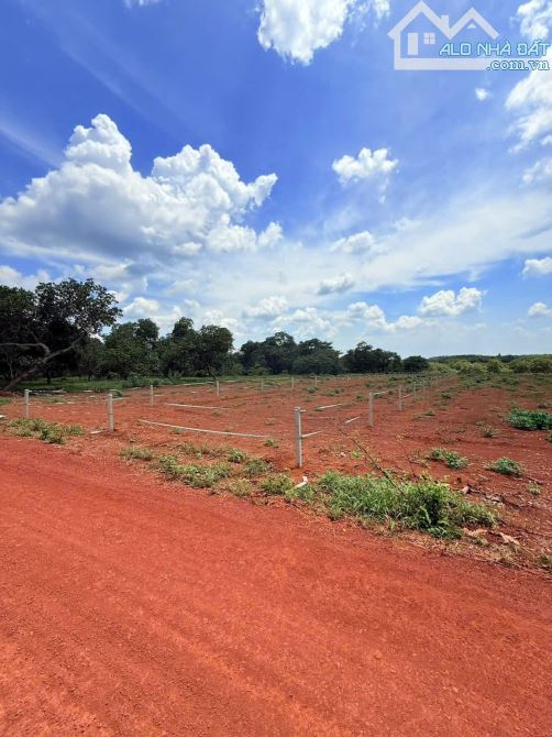 1000m2 Kế Khu Công Nghiệp dang xây dựng rào sẵn, 490 tr còn T.luong - 3