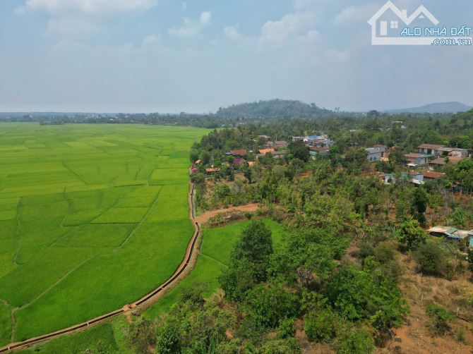 1500m2 Đất thổ cư sát bên quán Hương Đồng Ea Pốk Buôn Mắp - Giá đầu tư - 3