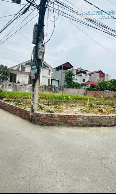 BẤT ĐỘNG SẢN -HÀ NỘI -PHẠM TÍN   📢 Chính chủ bán gấp lô đất – đẹp như hoa hậu! Giá CỰC RẺ - 3