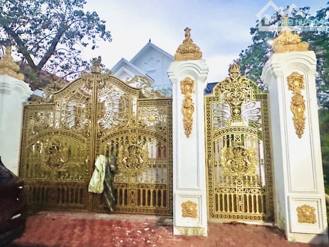 BÁN BIỆT THỰ SÂN VƯỜN KHOÁI TRÂU-HƯNG YÊN-TẶNG TOÀN BỘ NỘI THẤT-724M2-15,9 TỶ - 3
