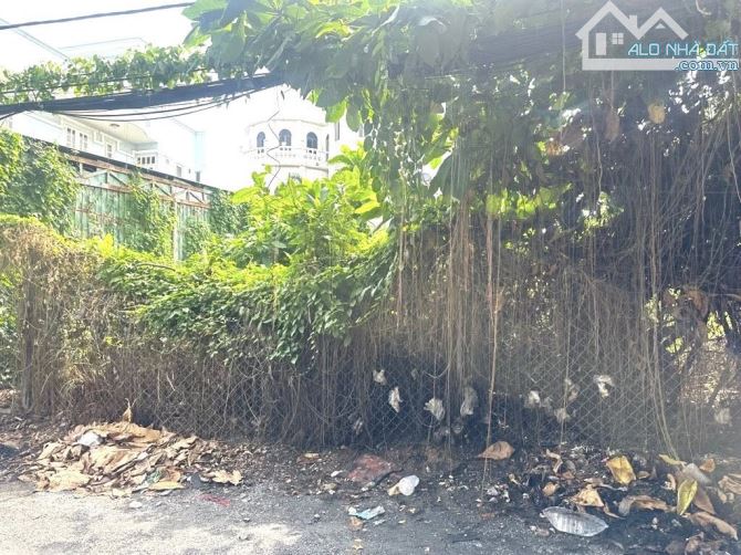 Lô Đất thổ cư Mặt tiền nhánh đường CHIẾN KHU, Diện tích 120m2 (5 x 24), đường 10m thông. - 3