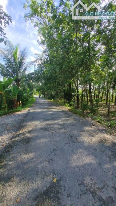 Hơn 1400m2 đường xe hơi thông. Gần trường học. 800tr - 3