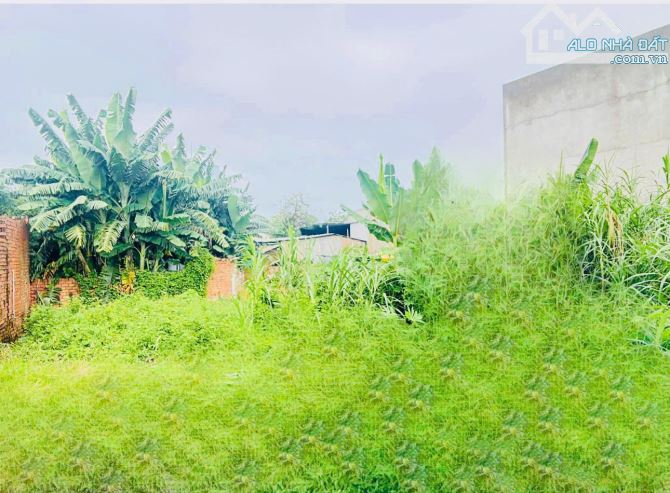 Bán Đất  Xuân Thới Thượng Hóc Môn- 93M2(5 x 19 )- HXT - Chỉ 3,2 Tỷ. - 3