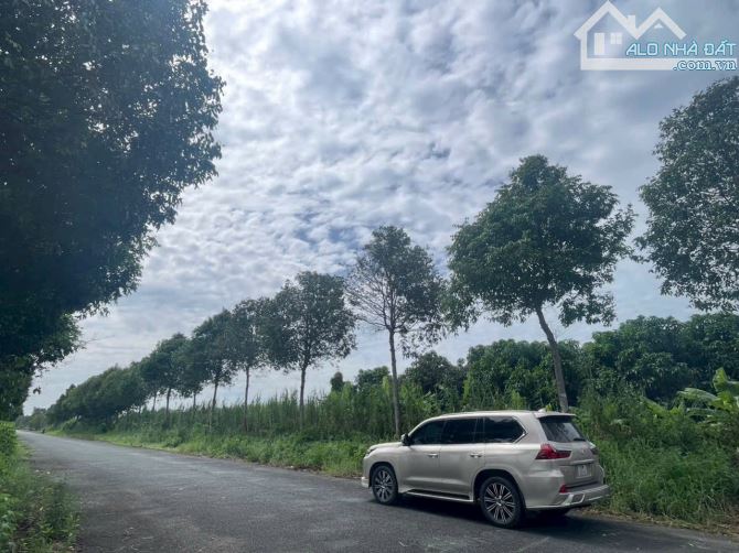 BÁN ĐẤT 2 MĂT TIỀN NGAY TRUNG TÂM THỊ TRẤN NGÃ SÁU CẦN THƠ _ CÁCH BẾN XE TTTPCT 15KM - 3