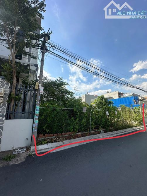 Bán 500m2 đất công nhận Đường 197 Hoàng Hữu Nam, Quận 9 - 3