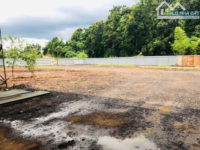 💥CHO THUÊ KHO 3000m2 GẦN QL27 TP BMT - 3