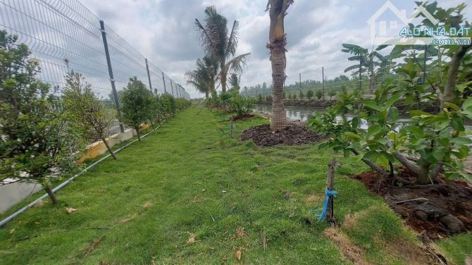 Nhà vườn 1000m2 Thủ Thừa mới xây kiên cố đường xe tải - 3