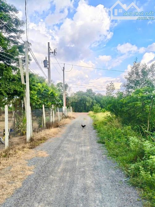 Bán lô đất đường xe hơi Kênh Đông, Phước Minh, Dương Minh Châu, Tây Ninh - 4