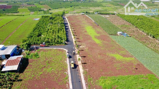 🌿 **ĐẤT NỀN NGHỈ DƯỠNG – LÀNG THANH BÌNH** 🌿 - 4