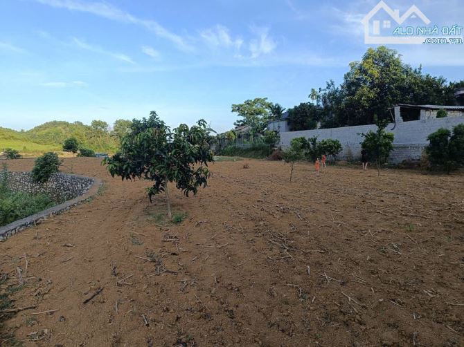 ĐẤT LƯƠNG SƠN VIEW CÁNH ĐỒNG ĐỒI NÚI BÁM BÊ TÔNG TO GIÁ RẺ - 4
