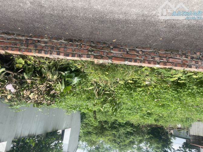 📍Nam Hồng - Thiên Lộc - ( Đông anh cũ ) Hà nội . 💥 DT = 99,9m : MT = 5,5m . Full thổ cư - 4